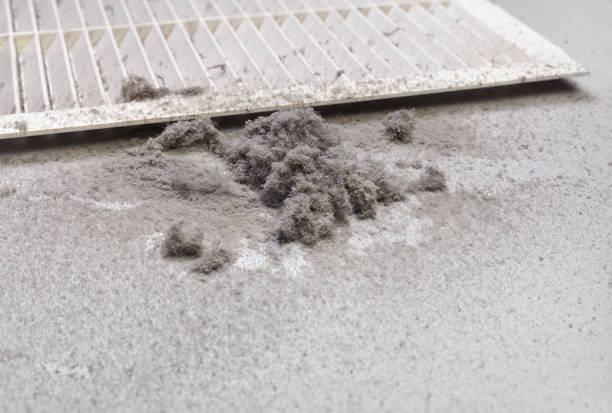 Best Ventilation Cleaning Services  in Prairie Village, KS