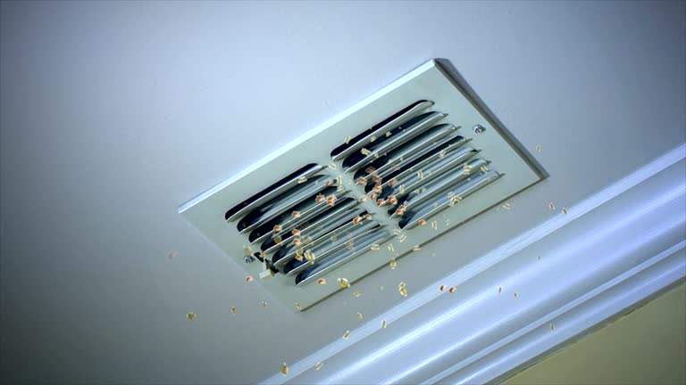 Best Air Vent Cleaning Services  in Prairie Village, KS